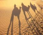 Üç Wise Men Bethlehem giderken deve sürme